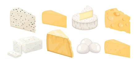 Cheese assortment, hard and soft, cow and sheep cheeses triangular pieces, vector Illustration on white banner backgroundのイラスト素材