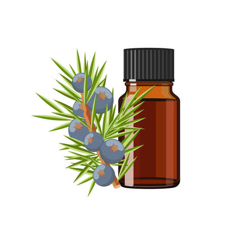Juniper Essential Oil n brown glass bottle, herbal alternative medicine treatment product, vector Illustration on white backgroundのイラスト素材