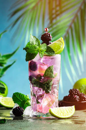 Blackberry mojito, summer alcoholic cocktail with white rum, soda, lime, mint, ice and berries. Dark tropical background, copy spaceの写真素材