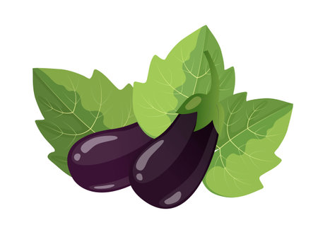 Eggplants with leaves, flat style vector illustration isolated on white backgroundのイラスト素材