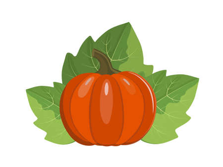 Orange pumpkin with leaves, flat style vector illustration isolated on white backgroundのイラスト素材