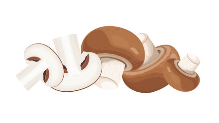 Brown champignons, whole and sliced mushrooms. Vector illustration isolated on white backgroundのイラスト素材