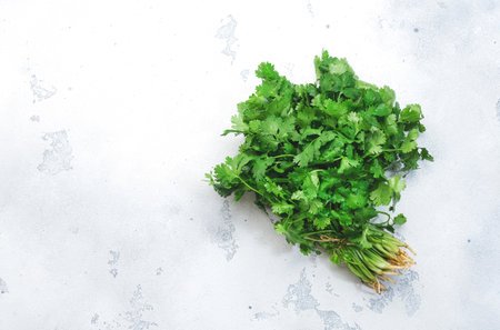 Fresh cilantro or coriander leaves in bunch. White kitchen table background, top view