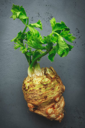Root celery with green stems, gray stone kitchen table background, top viewの写真素材