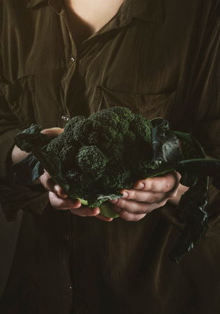 Broccoli cabbage with leaves in female hands, autumn food, harvest, vegetarianism concept. Toned...