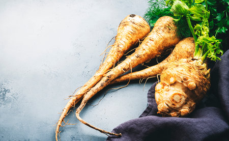 Root vegetables and herbs: celery with green stems, parsnip, parsley, dill on rustic gray stone kitchen table background, top viewの写真素材
