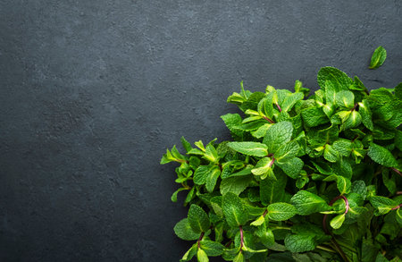 Fresh mint or peppermint on dark background. Medical plant, close-up, top view