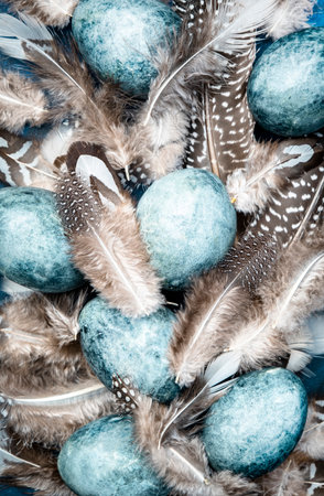 Easter blue eggs with colorful bird feathers on blue background, top viewの写真素材