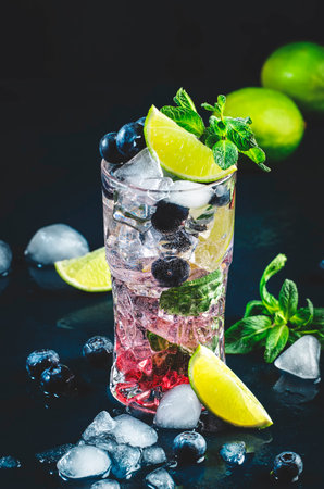 Blueberry Mojito cocktail drink with lime, white rum, soda, cane sugar, mint, and ice in glass on deep blue background. Summer Refreshing Beverageの写真素材