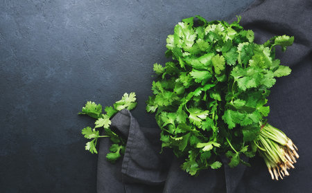 Fresh cilantro or coriander leaves in bunch. Black kitchen table background, top viewの写真素材