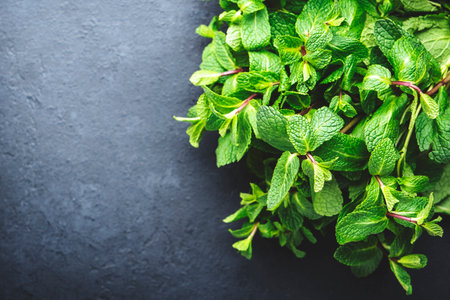 Fresh green mint on black stone table background. Medicinal and culinary plant, close-up, top viewの写真素材