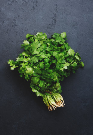 Fresh cilantro or coriander leaves in bunch. Black kitchen table background, top viewの写真素材
