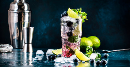 Blueberry Mojito classic alciholic cocktail drink with lime, white rum, soda, cane sugar, mint, and ice in highball glass on deep blue background. Summer Refreshing Beverageの写真素材