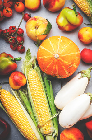 Autumn colorful vegetables and fruits set: apricots, tomatoes, paprika, pumpkin, corn, etc. on gray...