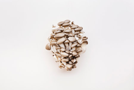 Fresh oyster mushrooms on light beige background, minimalism style, top viewの写真素材