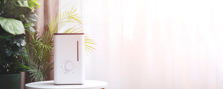 Working home humidifier in modern apartment with house plants, banner