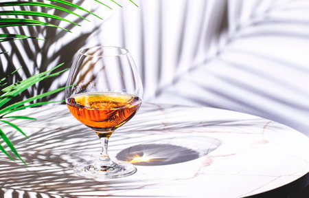 cognac in glass on white background, hard light and shadowsの写真素材