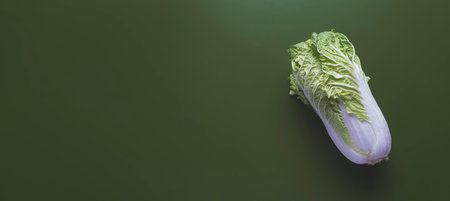 Fresh organic chinese cabbage from local farmm market ready for cooking healthy vegetarian foodの写真素材