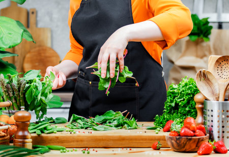 Chef prepares healthy food in the kitchen. Cook holds raw Swiss chard leaves in hands. Healthy vegan eating, cooking, bloggingの写真素材