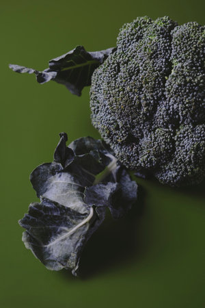 Freshly harvested broccoli for healthy cooking with organic vegetables ready to prepareの写真素材