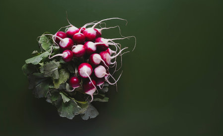 Bundle of fresh radishes with lush green leaves, natural beauty of organic produce, healthy eating and cooking at home.の写真素材