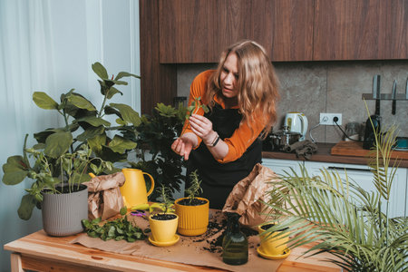 A joyful woman with blonde hair smiles while caring for her indoor plants in a cheerful, well-lit apartment, reflecting her love for gardening.の写真素材