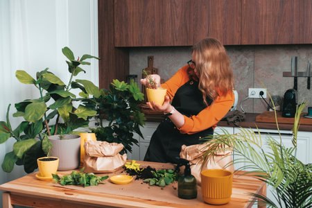 Woman replants aromatic herbs in cozy kitchen with indoor plants for a fresh touch in her beautiful...