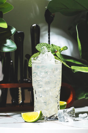 Refreshing alcoholic cocktail with dry gin, mint, and ginger ale served over ice in a modern lounge settingの写真素材