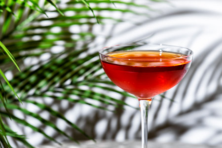 Red cocktail with whiskey, port wine, and bitters served in an elegant glassの写真素材