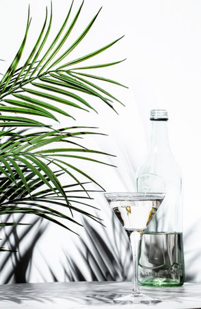 Elegant white vermouth cocktail beside a decorative palm leaf with a glass bottle showcasing refreshing aestheticsの写真素材
