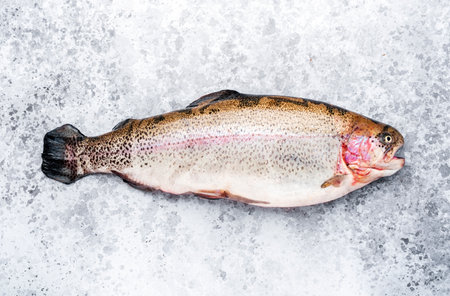 Fresh rainbow trout on gray table background, ready for cooking, top view