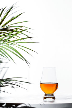 Single malt scotch whiskey resting in a glencairn glass beside a lush green plant indoors in a...