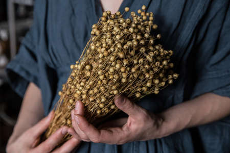 Flax plant and linen dressの写真素材