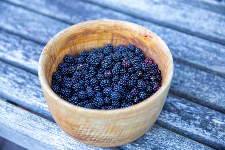 Blackberries in a wooden bowlの写真素材