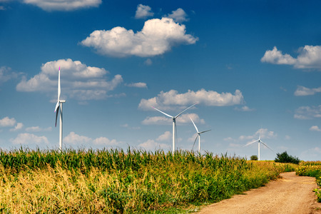 Renewable energy with wind turbines in a bright and sunny day in agricultural field in the countrysideの写真素材