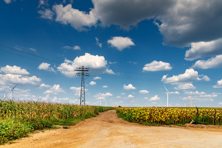 Renewable energy with wind turbines in a bright and sunny day in agricultural field in the countrysideの写真素材