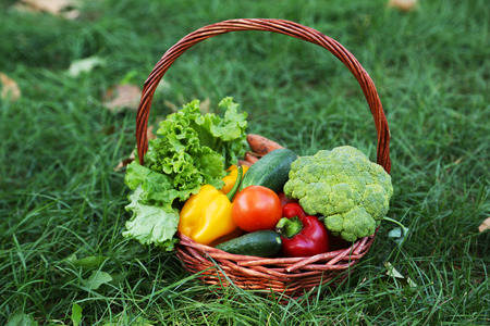 Vegetables in basket on green grassの写真素材