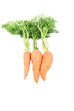 Carrots isolated on white backgroundの写真素材