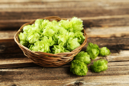 Hops in basket on brown wooden background