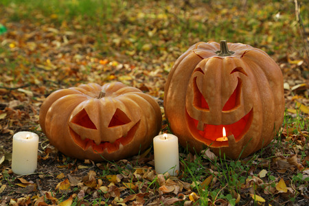 Halloween pumpkin in autumn leavesの写真素材