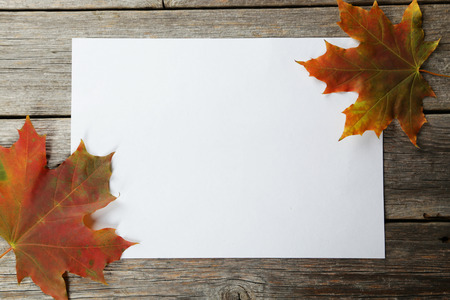 White sheet with autumn leaves on grey wooden backgroundの写真素材