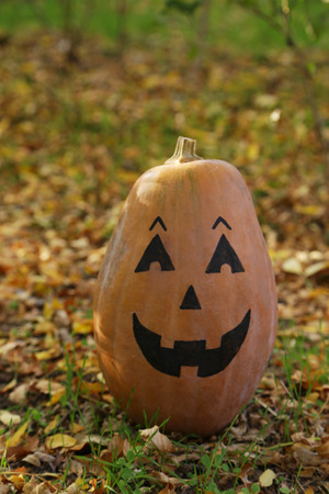 Halloween pumpkin in autumn leavesの写真素材