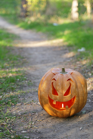 Halloween pumpkin on footpath in woodの写真素材
