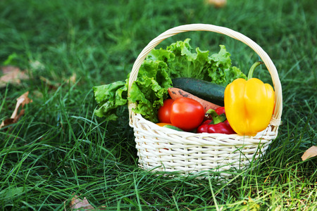 Vegetables in basket on green grassの写真素材