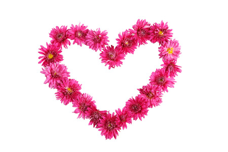 Beautiful heart with purple chrysanthemums isolated on whiteの写真素材