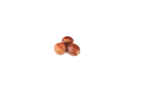 Hazelnuts isolated on whiteの写真素材