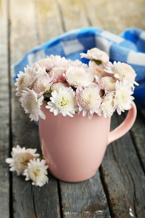 Beautiful chrysanthemums in cup on wooden backgroundの写真素材
