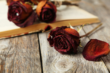 Dried roses on grey wooden backgroundの写真素材