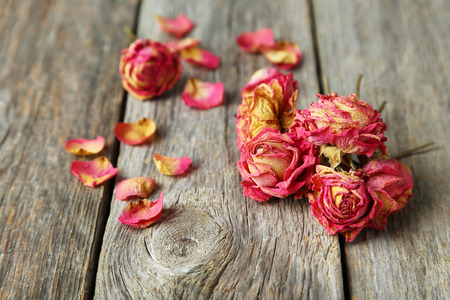Dried roses on grey wooden backgroundの写真素材