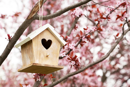Nesting box hanging on the treeの写真素材